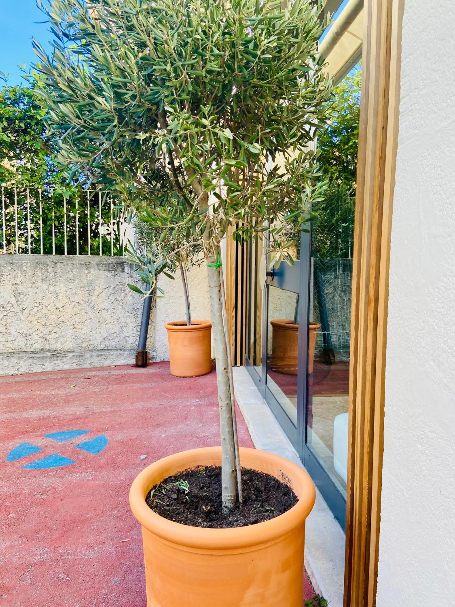 Cassis Grande Terrasse Emplacement Au Top A 1 Minute De La Plage A Pieds エクステリア 写真